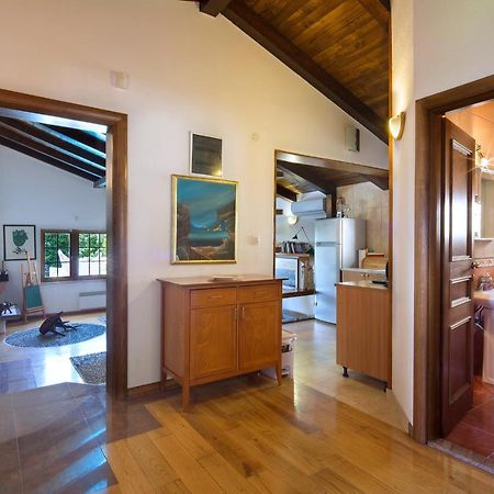 Villa Robinson Petrovac Εξωτερικό φωτογραφία